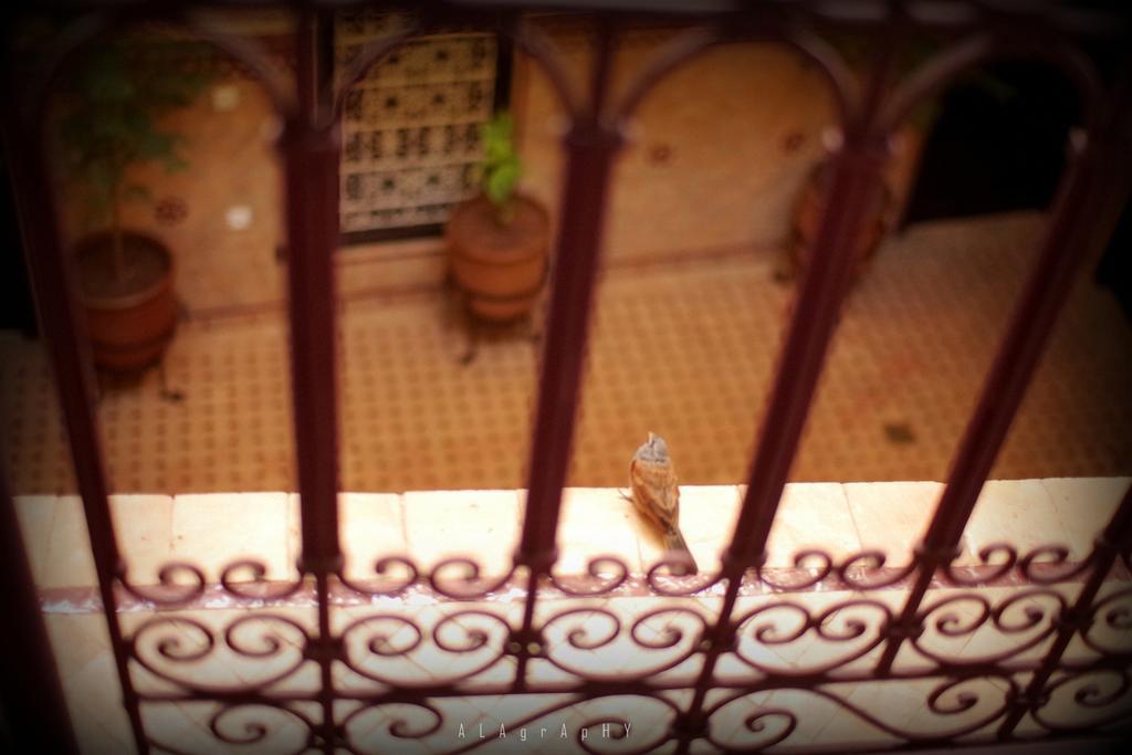 Riad Hotel Marraplace Marrakesh Exterior photo